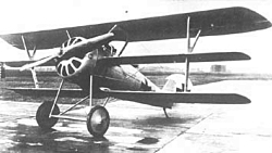 Pfalz Dr1
