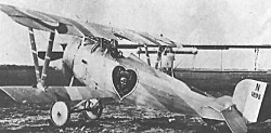 Nieuport 24