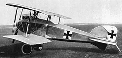 ALBATROS D1