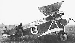 Hansa-Brandenburg D1