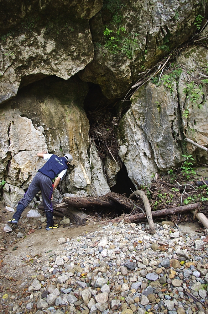 洞口には流れ込んだ流木が詰まっていて、取り除かないと中を覗うことはできない。