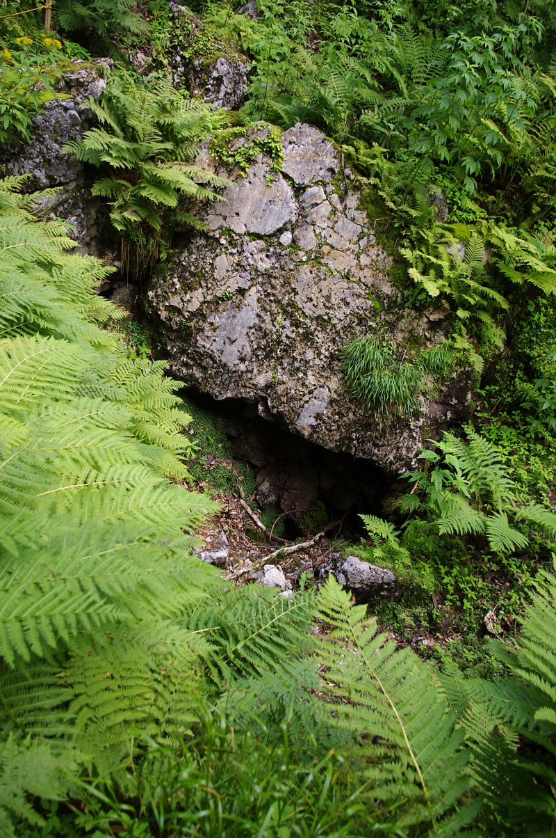 洞口をのぞく足場の背後の小ドリーネは第二洞口となっている。 実際には底が岩石で詰まっているので通常には通過困難らしいが。