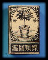 蝶類図鑑